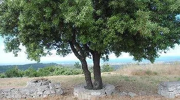 Puglia Vista Mare Oda ve Kahvaltı